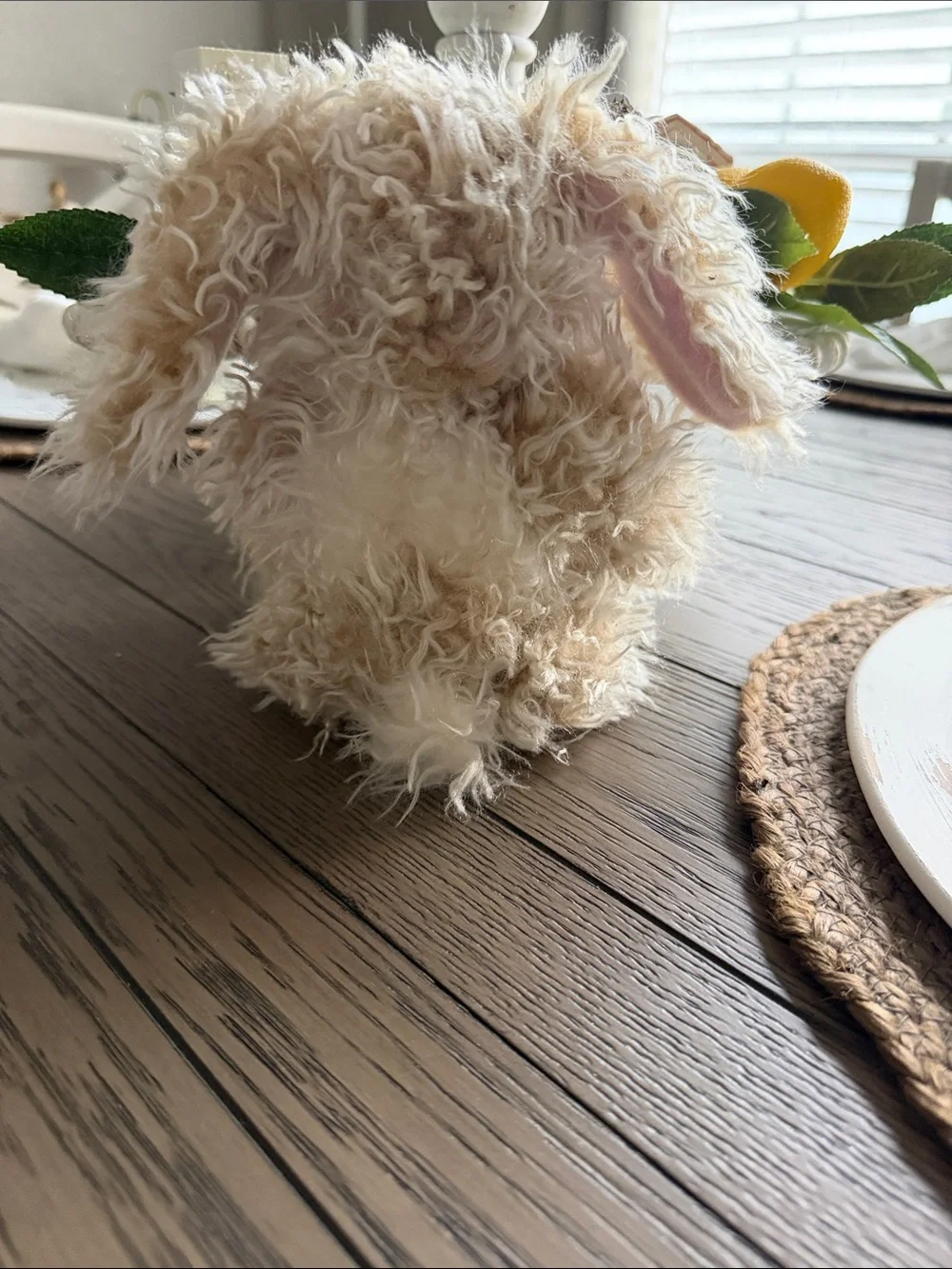 Hallmark Cream & Pink Floppy-Eared Plush Bunny for Small Pets